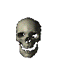 skull2.gif (15778 bytes)